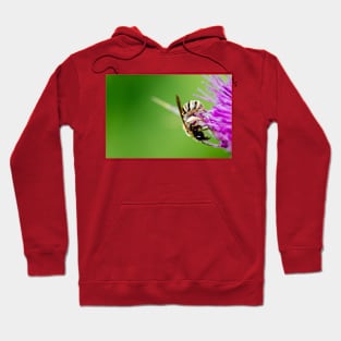 Wild life design Hoodie